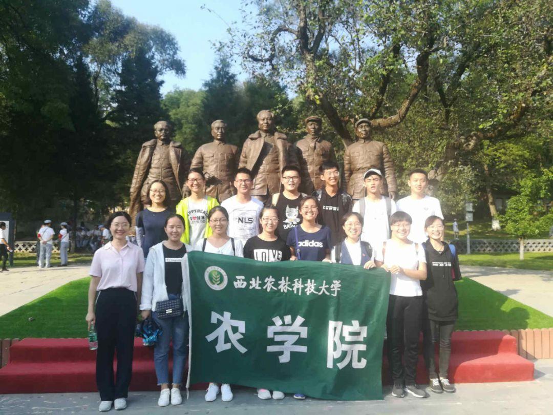 如何翻译乱码、